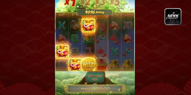 Nữ Hoàng Hải Tặc 88NN